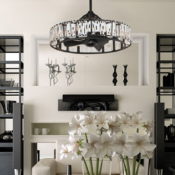 Odeon Collection