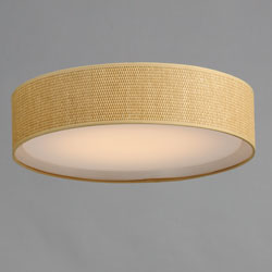 Prime 20" LED Flush Mount