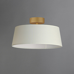 Paramount 16" LED Flush Mount