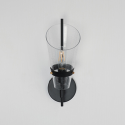 Finch 1-Light Wall Sconce