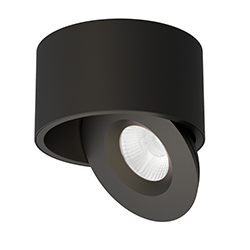 Fulcrum LED Flush Mount w Gimbal